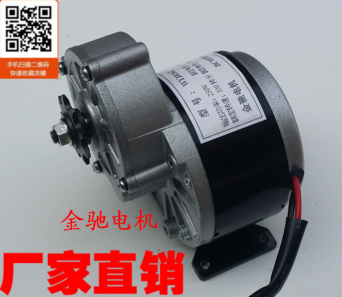 Gold Ride Reduction Motor MY1016Z2-24V250W350W Electric Car Motor Balance Car Motor Wheelchair
