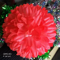 Глубокий порошок хризантемы (20 см. Внешняя классика)