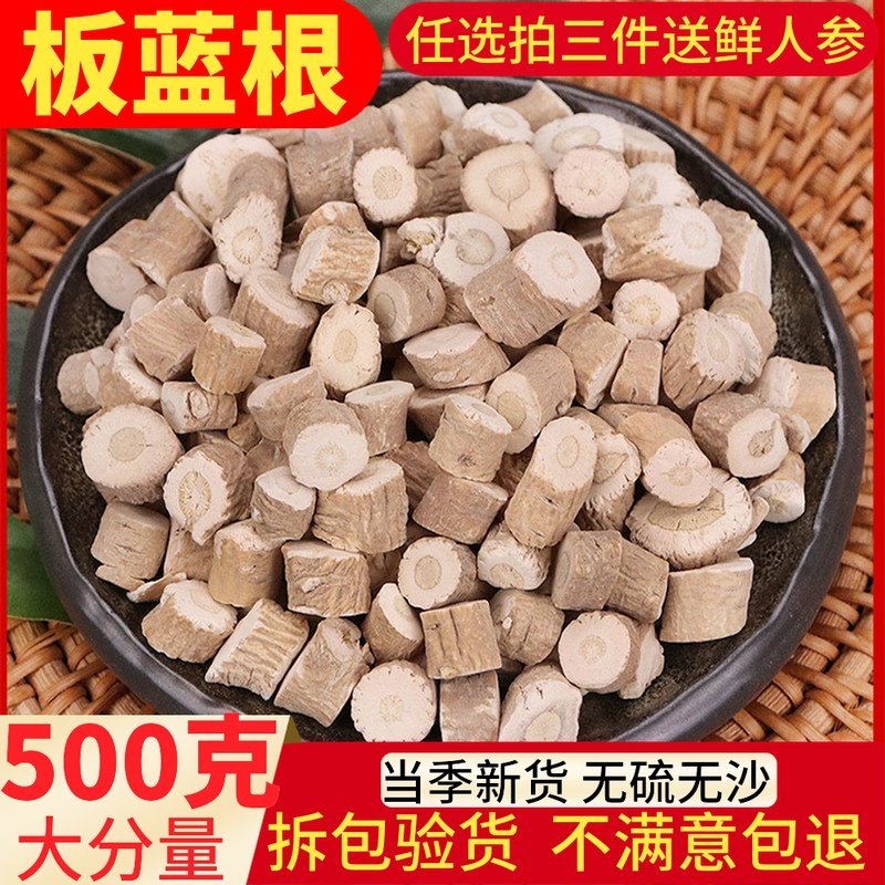 Woad root 500g grams of Chinese herbal medicine quality Isatis Root piece Powder Bubble Water Free of Sulphur Great Green Leaf root