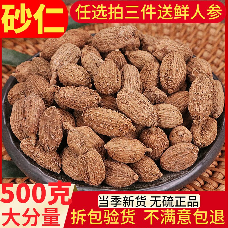 Sandy Ren 500g Yangchun Spring Spring Rinn Shell Casseri Rinang Sandy Rinh Rinchunsani Chinese Herbal Medicine Spice Halianum