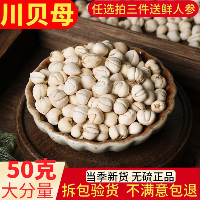 Selected Sichuan fritillary mother 1 jar 50 gr Quichuan fritillary pink Grade raw Chinese herbal medicine Pine Bay Non 500g