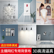 New live background wall main cast background cloth 3d background cloth Taobao shooting background clothing photo photography background