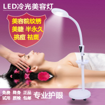Same day delivery LED beauty salon embroidery lamp magnifying glass cold light beauty lamp Nail eyebrow shadowless floor lamp