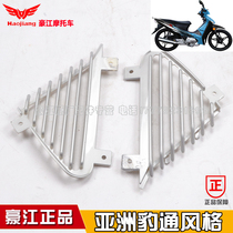 Haojiang Original Motorcycle Accessories HJ110-3-13 Asian Leopard Windshield Decorative Panel Ventilation Vent