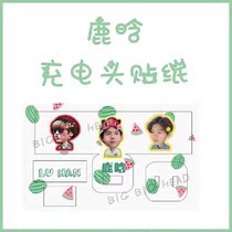 LUHAN LUHAN charger charging head data cable leather sticker protection sticker