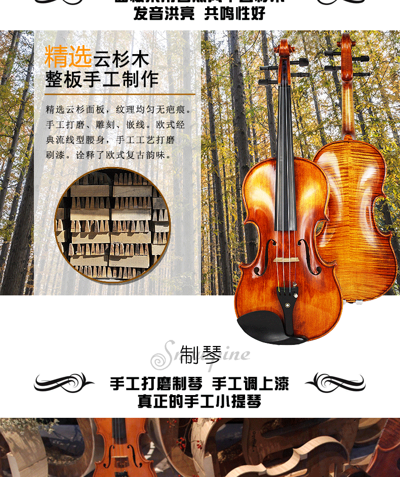 SV250 Описание_02.gif