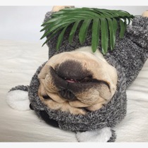 Fadou clothes plus velvet padded sweater coat Bago clothes autumn and winter large size fat dog clothes plus velvet