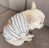 Летняя майка, летний жилет, с медвежатами