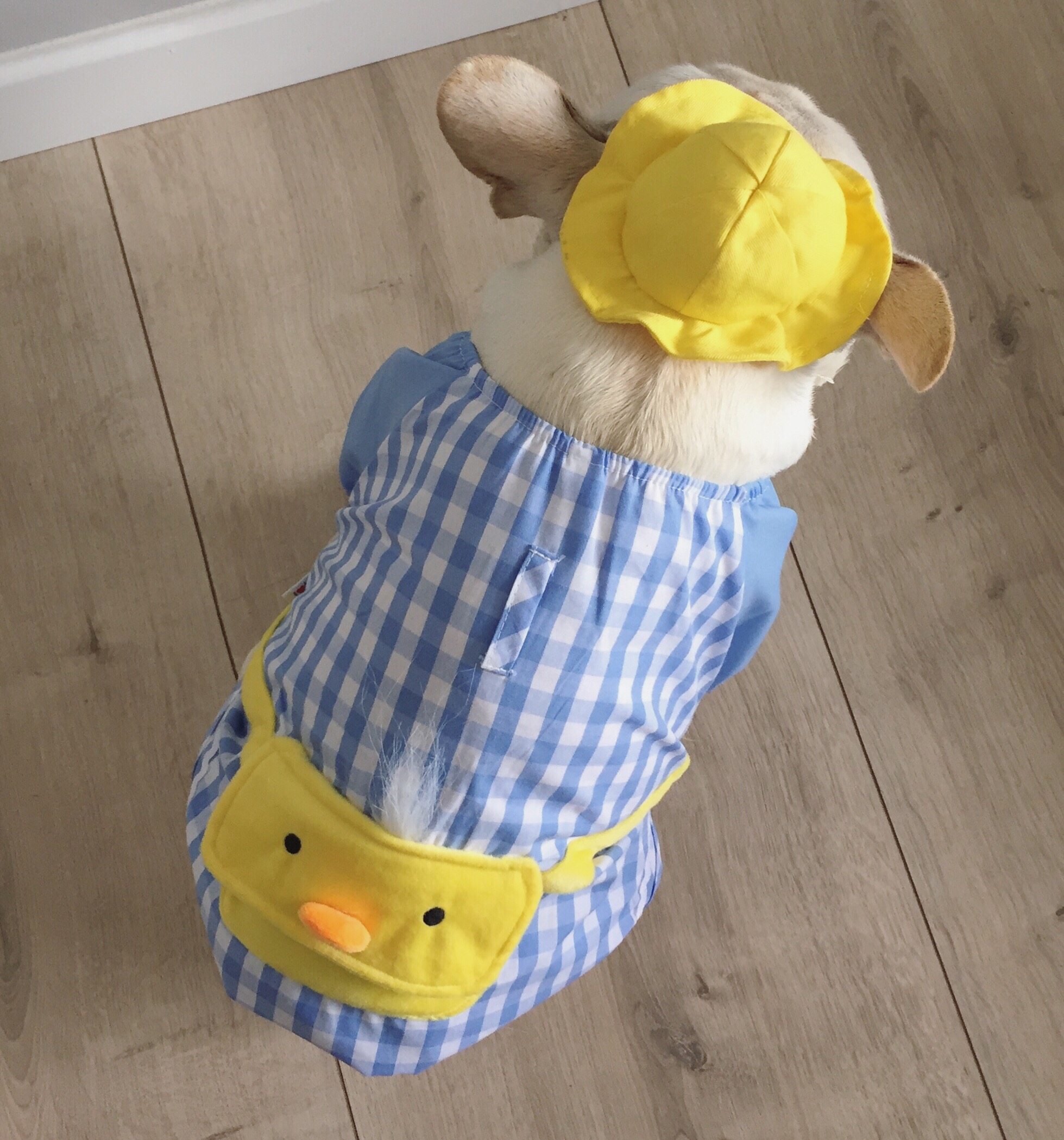 Fadou Clothes Bago Clothes Chicken Backpack Japanese Cute Kindergarten School Uniform Fat Dog Clothes