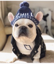 Fadou Cotton Bago Cotton Clothes Fadou Vest Thickened Warm Bago Cotton Coat Winter Size Fat Dog Clothes