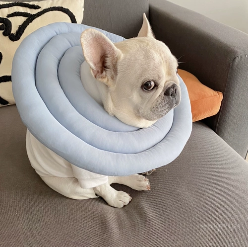 СОБАКА ПЕЧТА СОБАКОВАЯ СОБАКА МЕТОД МЕТОС