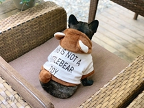 Clearance Fadou Clothes Bago Clothes Bull Bull Bear Pet Dog Cashmere Thickened Clothes Fall Winter