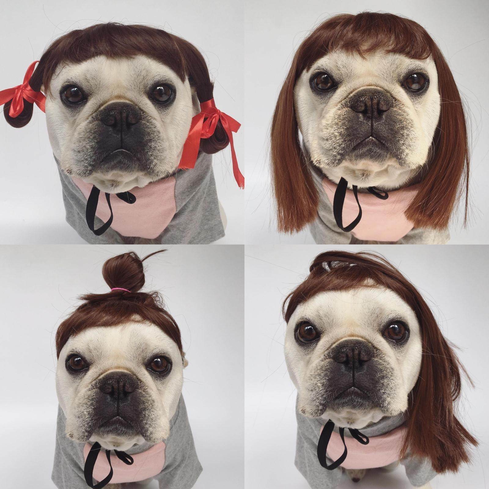 Pet Pooch Wigs Fag Wig Head Accessories Bago Wig Bulldog Dog Chai Dogs Kirky Kitty Head Accessories