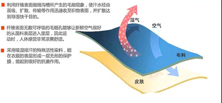 survêtement sport - Ref 562927 Image 16