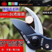 Taiwan Imported Zokugawa Fields Prunes Prunes Garden Garden Garden garden Scissors Fruit Tree Branches Prunes Flowers prunes Pruner Flowers and Branches Tools