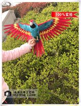 Simulation feather parrot model color parrot pastoral decoration pendant film and television shooting road furniture ornaments