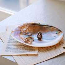 Natural pearl shell storage plate ins Wind retro jewelry jewelry photo photography background props decoration ornaments