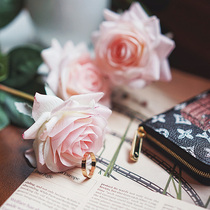 ins Wind Net red retro simulation Rose Room decorations pose photo photography props background ornaments