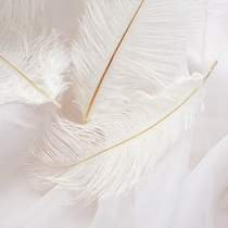 White ostrich feather ins Wind Net Red Girl heart fairy pendulum Photo Photo Photo props room decorations background