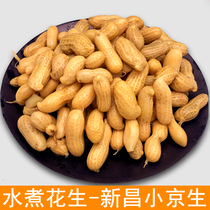 2021 Shelled Wet Peanut Xinchang Xiaojingsheng Shengzhou Little Red Hair Boiled Nender Peanut Cold Plate Halogen Instant
