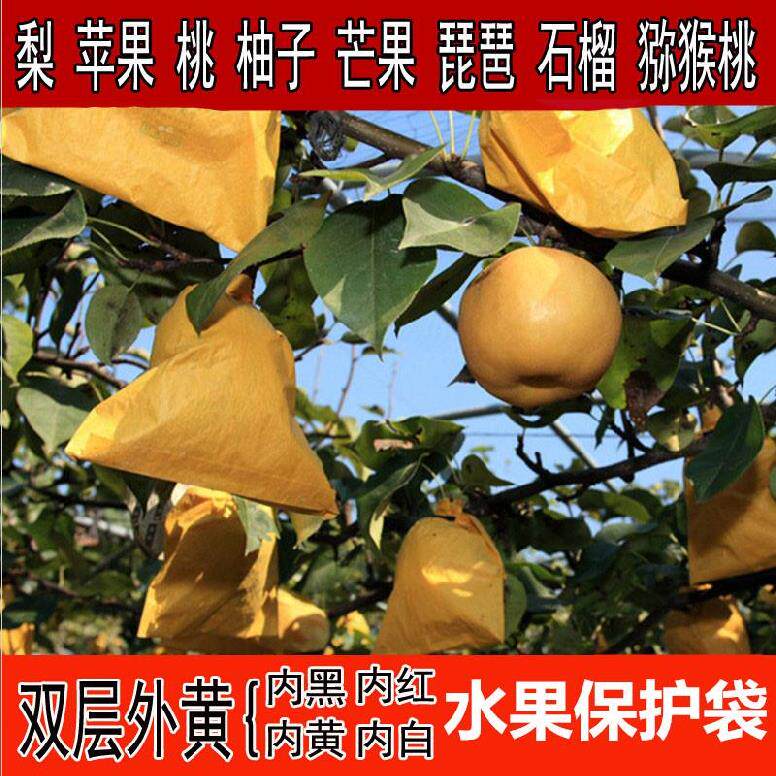 Red Pear Bag Universal Outer Yellow Inner Black Practical Bag Fruit Paper Bag Fruits Bagel Fruit Bag Loquat Bagging Special