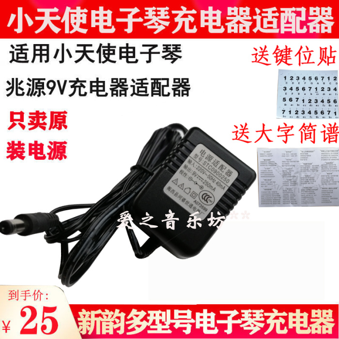 Little Angel New Rhyme Electronic Keyboard Original Charger Power Adapter 9V Plug 250mA Electronic Keyboard