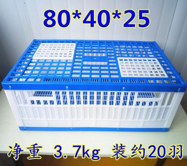 Letter racing pigeon supplies appliances pigeon cage plastic flying cage training cage report cage set pigeon cage training pigeon cage