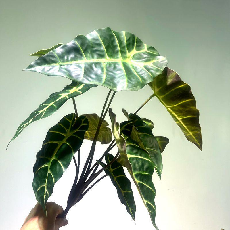 Alocasia Leaves, Arrowroot Leaves, Dripping Water Guinea-Pig Plant, Artificial Green Plants, High-End Bionic Plants, Landscaping Bonsai, Hydroponics, Home Decoration
