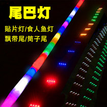 Kite tail light luminous kite ribbon tail tube tail LED light cannibal fish light patch light 10 15 20 meters