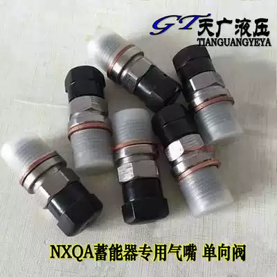 NXQA QXF bladder accumulator special charging valve valve valve valve core bending machine shearing machine pump truck