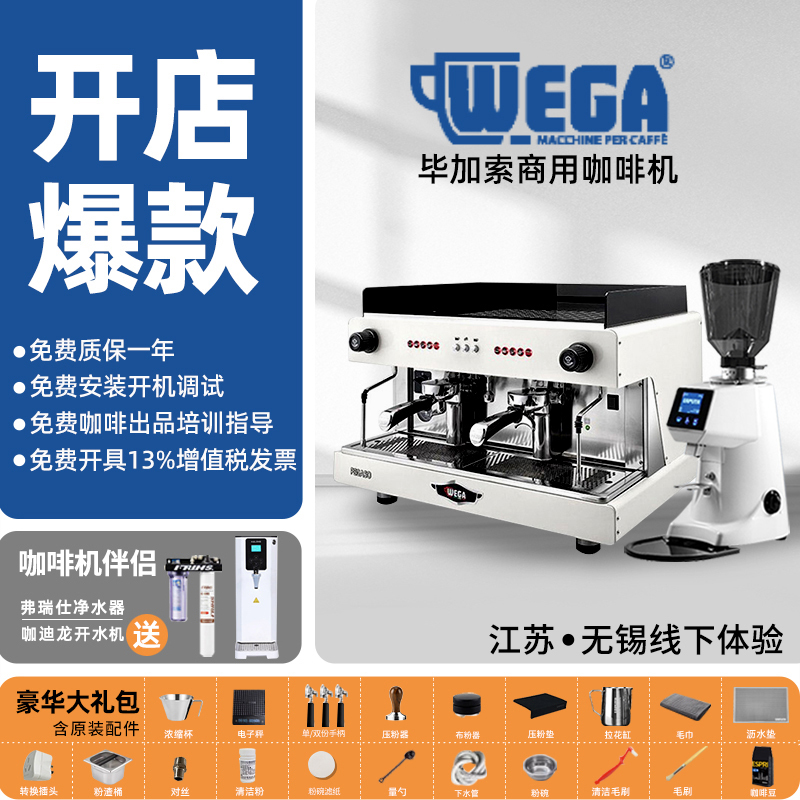 Wega Pegaso Picasso Coffee Machine Electronically Controlled Italian Semi-Automatic Commercial Coffee Shop Opening Set Imported