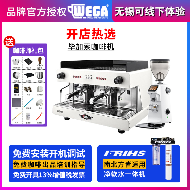 Wega Pegaso Picasso Coffee Machine Electronically Controlled Italian Semi-Automatic Commercial Coffee Shop Opening Set Imported