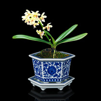 Orchid special flower pot hand-painted blue and white ceramic flower pot Jingdezhen handmade green flower pot antique ornamental ornamental pot Chinese style