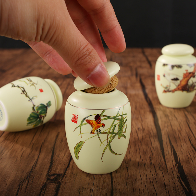 DH jingdezhen ceramic portable mini caddy fixings POTS with household store tea pot small seal pot