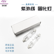 Small UV curing light