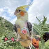 Сверхлегкий йо-йо, делается под заказ, дорожная версия, домашний питомец