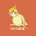 YOYO萌宠乐园