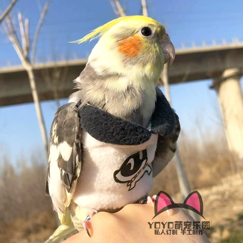 Удерживающий тепло зимний йо-йо, делается под заказ, дорожная версия, увеличенная толщина