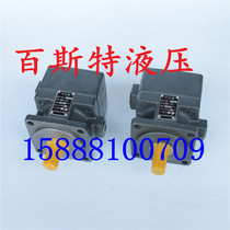 Hongtai quantitative oil pump hydraulic vane pump YB-D4 6 10 16 20 25 32 40 50 63 80 100