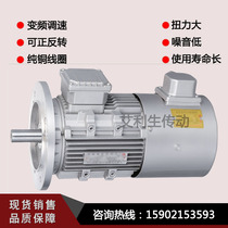 Three-phase variable frequency motor aluminum shell vertical YVF250 370 750W 1 1 1 5 horizontal speed motor Horizontal