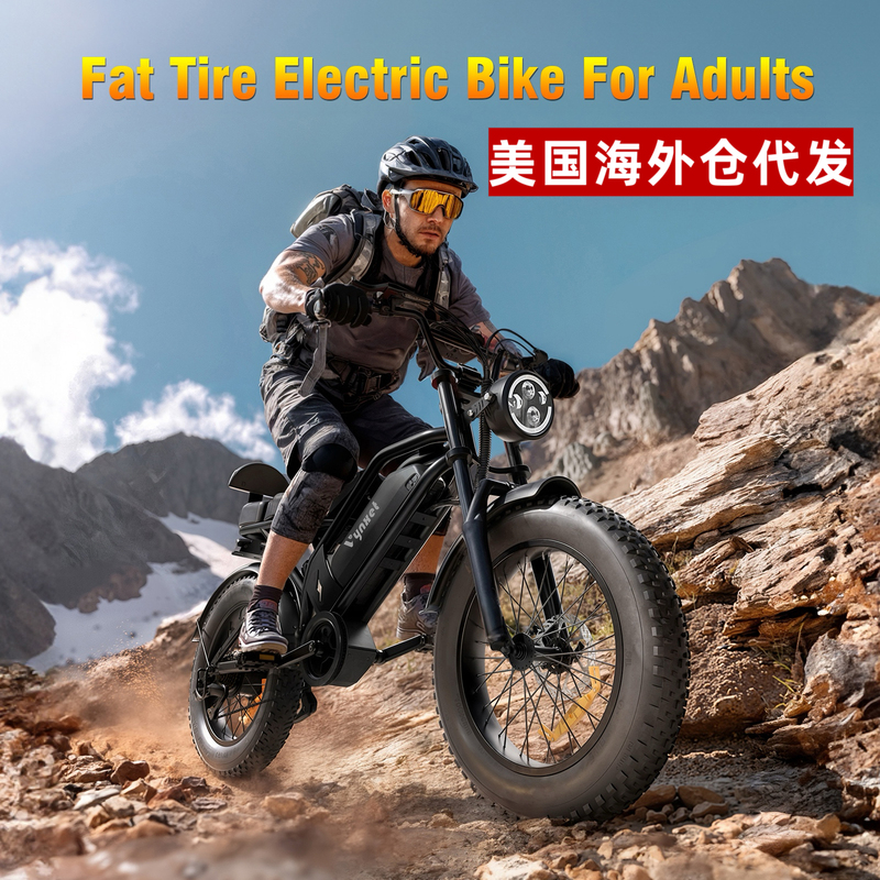 Export Version 20inch Fat Tire Snow Electric Bicycle with Variable Speed Assistance, Lithium Battery Beach Mountain Bike for Adults Export Version 20inch Fat Tire Snow Electric Bicycle with Variable Speed Assistance, Lithium Battery Beach Mountain Bike for Adults