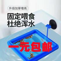 Feeder feeding circle anti-drift tropical guppy feeding circle aquarium fish tank fish food feed feeder