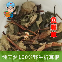 江西自然保护区深山野生鱼腥草茶凉茶折耳根农家晒干抽烟多喝250g