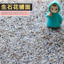  This new product Round fine particles succulents Raw stone flowers Ass flowers PP meat cone Professional paving soil crystal sand