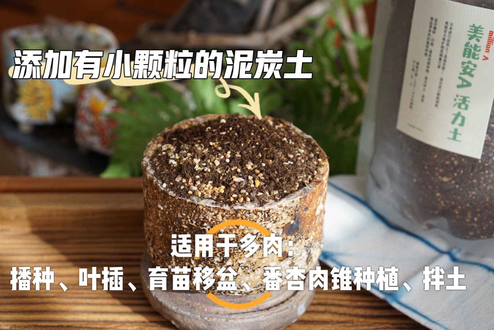 Captain's home South Korea Import Multi-Meat Sowing Leafy Nursery Peat Soil Raw Stone Flower Meat Cones Special Nutritious Earth