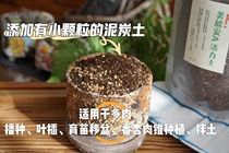  Captains Korea imported succulent sowing leaves planting seedlings peat perennials stone flowers meat cones special nutritional soil