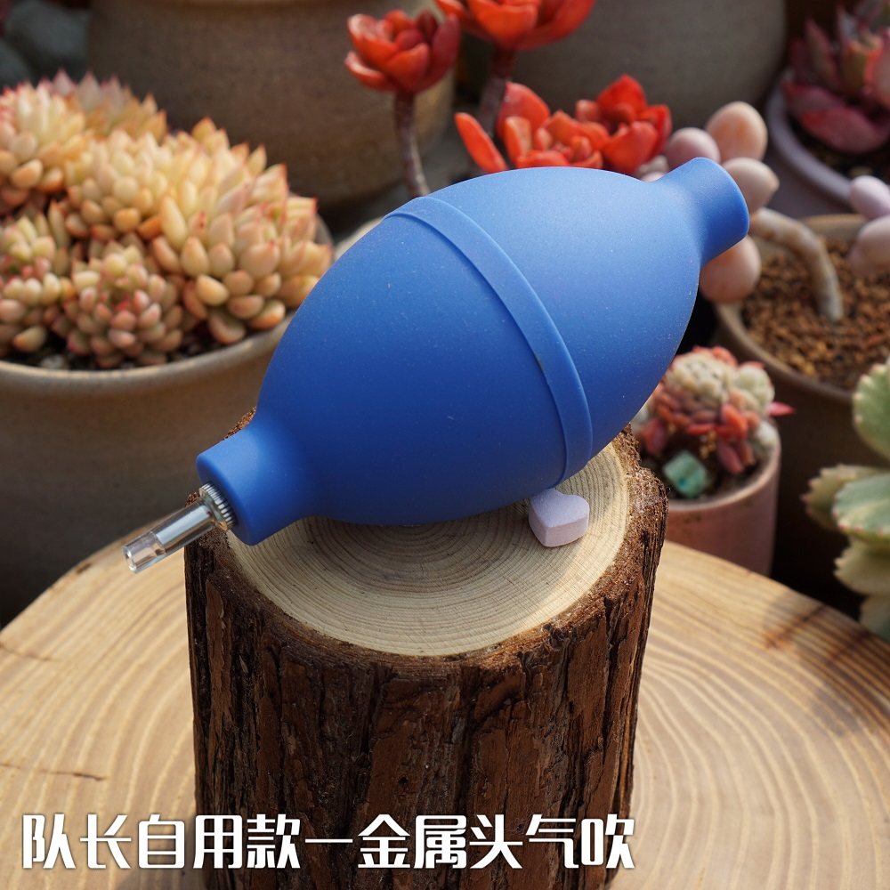 Captain's home metal head powerful air blown sub-leather-tiger multi-meat plant blown water theorizer cleaning tool