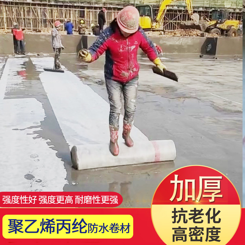 Polyethylene polypropylene waterproofing membrane tarpaulin polymer waterproof membrane toilet roof indoor moisture-proof glue powder