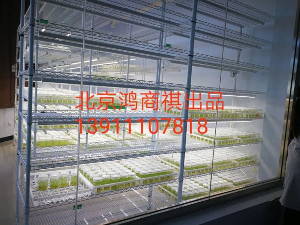 培养架植物组培光照培育LED冷光源实验室育苗种植网格层板全光谱