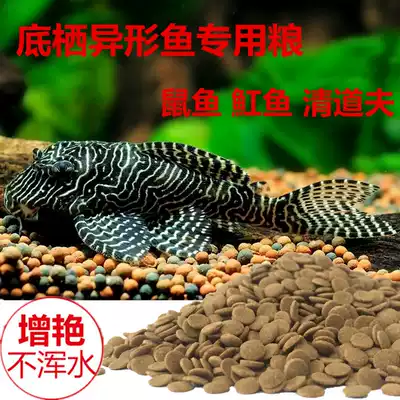 Special-shaped fish feed scavenger ratfish had demersal fish sink Blue shark tiger shark sink-fish fish food lucky cat